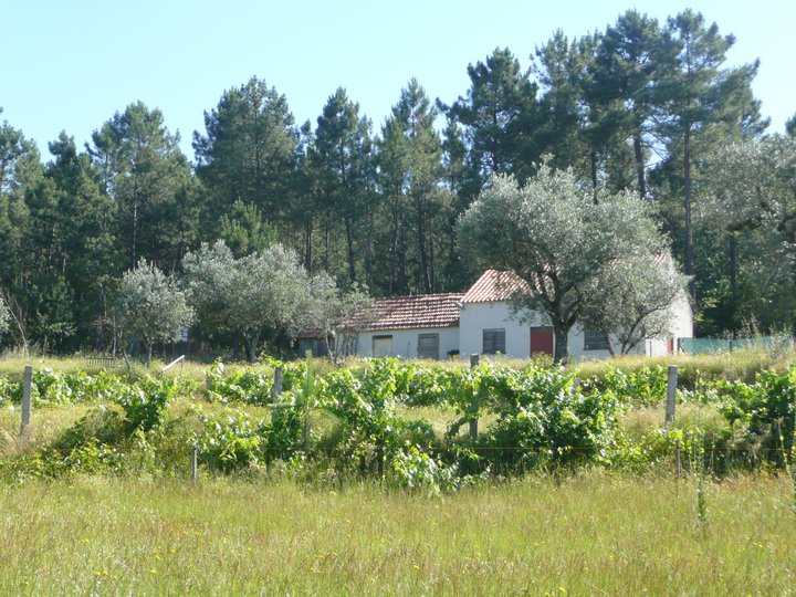 eco project, portugal, for sale