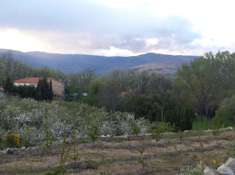 Spain, 3 sustainable properties , for sale