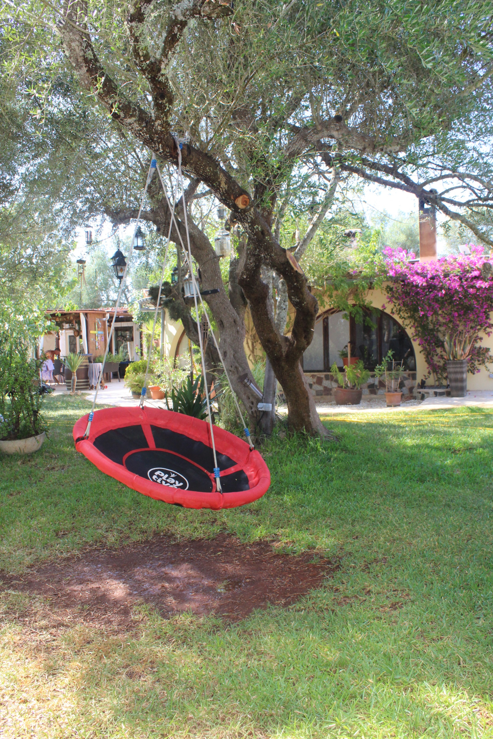 IMG_8396 Spain-A self-sufficient Mediterranean finca with land, guest accommodation and exceptional lifestyle potential in Mallorca – SP0315
