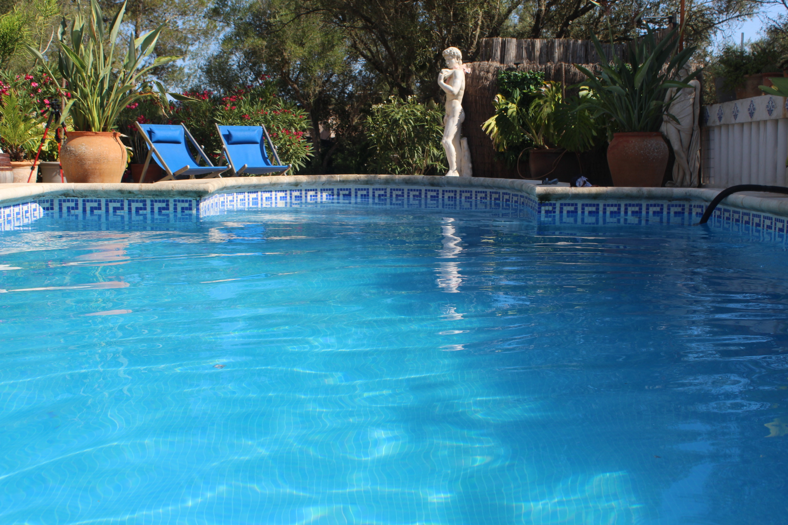 IMG_8401 Spain-A self-sufficient Mediterranean finca with land, guest accommodation and exceptional lifestyle potential in Mallorca – SP0315